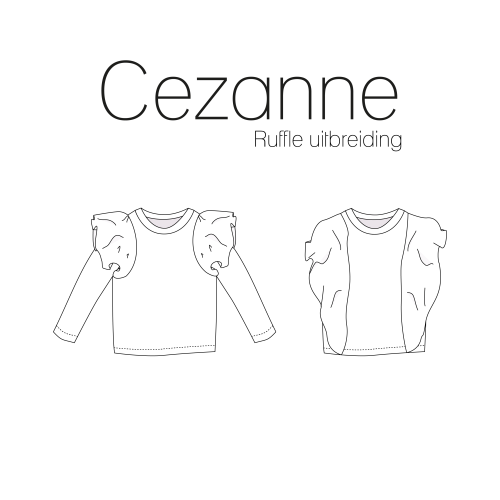 Cezanne uitbreiding/ additions